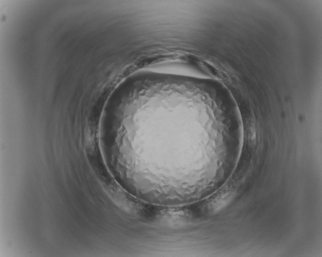 X0000079300607200611171032