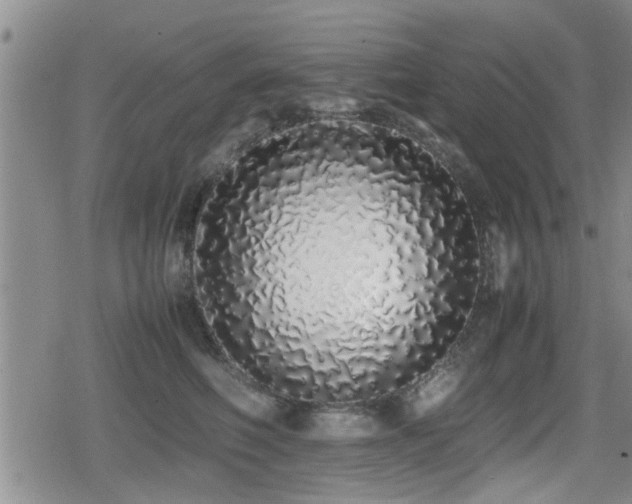X0000079300614200611171032