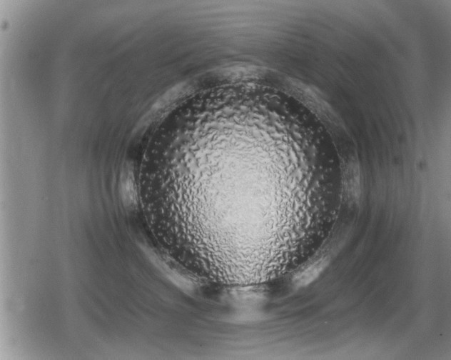 X0000079300622200611171032