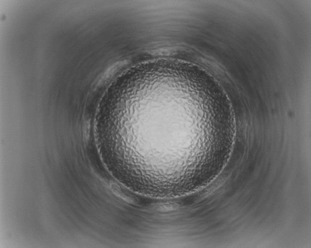 X0000079300652200611171032