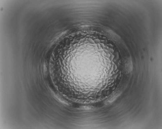 X0000079300654200611171032