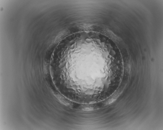 X0000079300658200611171032