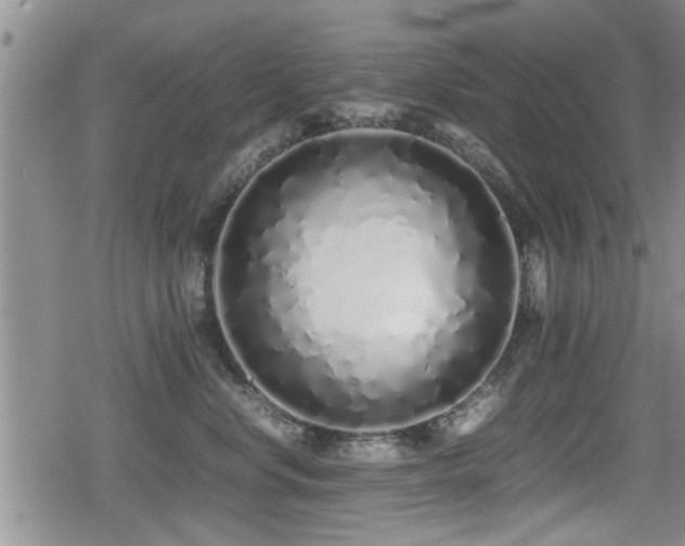 X0000079300668200611171032