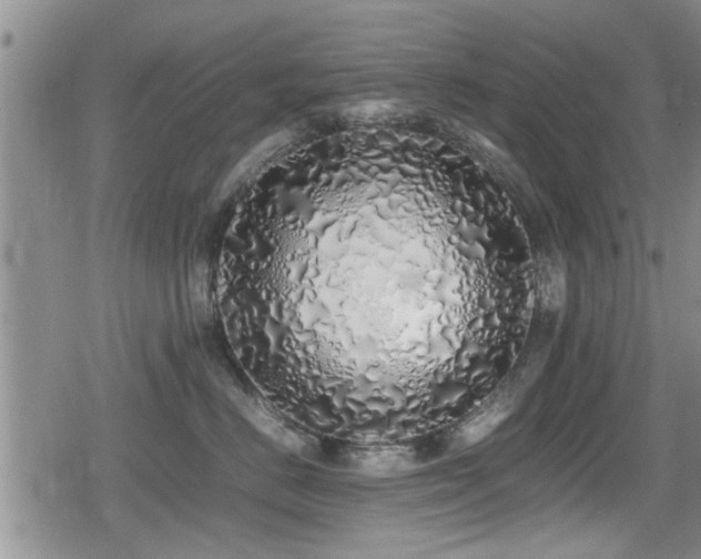 X0000079300670200611171032
