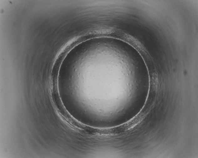 X0000079300726200611171030