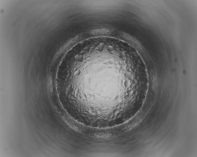 X0000079300729200611171030