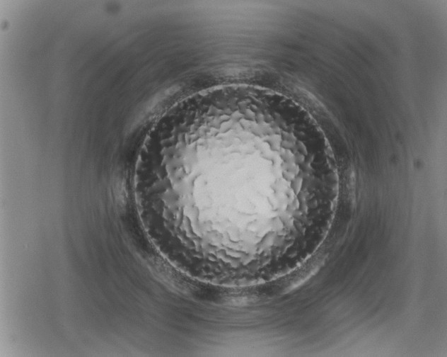 X0000079300746200611171030