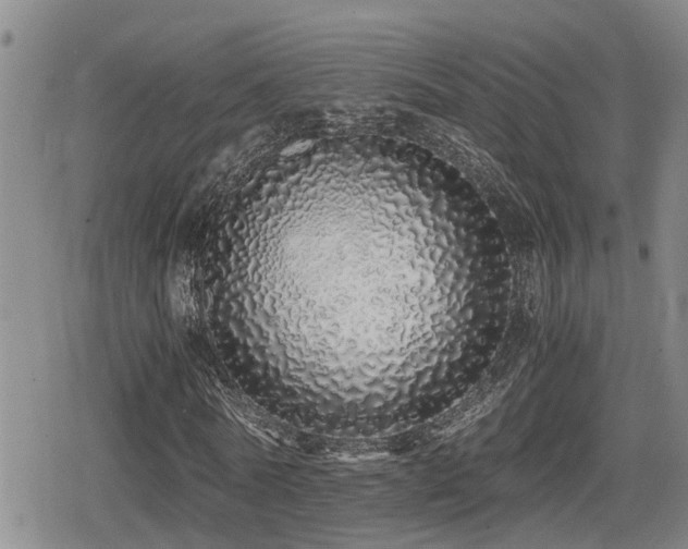 X0000079300770200611171029