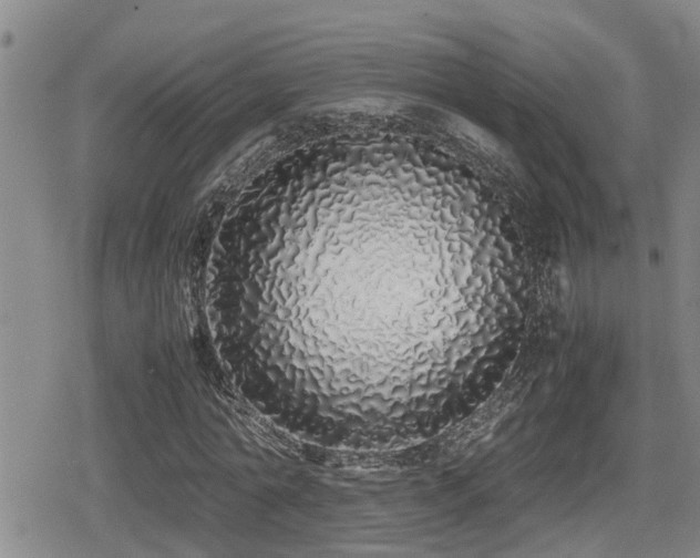 X0000079300774200611171029