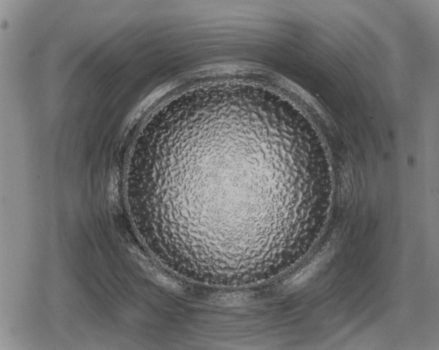 X0000079300778200611171029