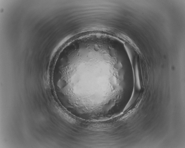X0000079300780200611171029