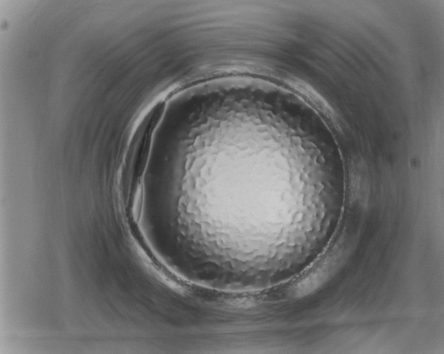 X0000079300798200611171029