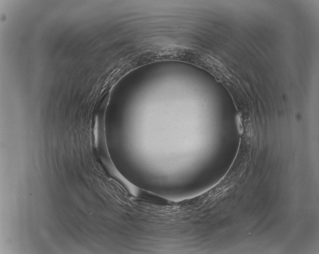 X0000079300916200611171026