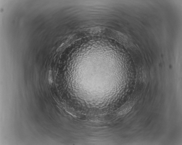 X0000079300962200611171026