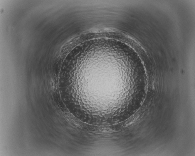 X0000079300966200611171026