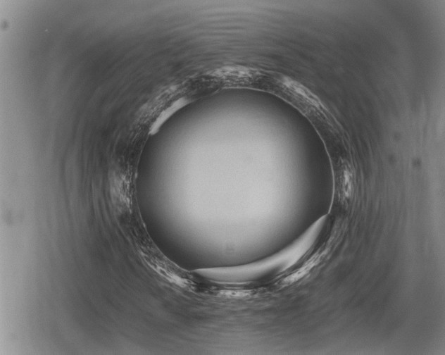 X0000079301010200611171025