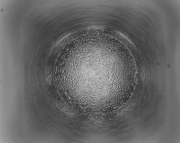 X0000079301015200611171025