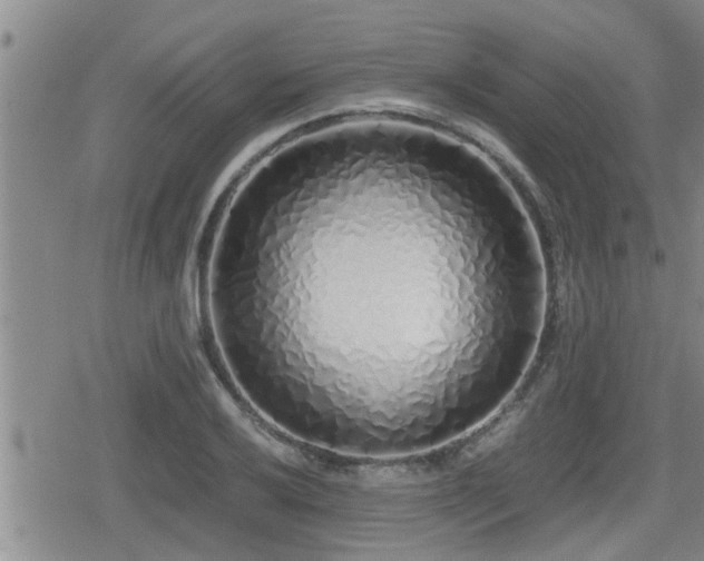X0000079301032200611171025