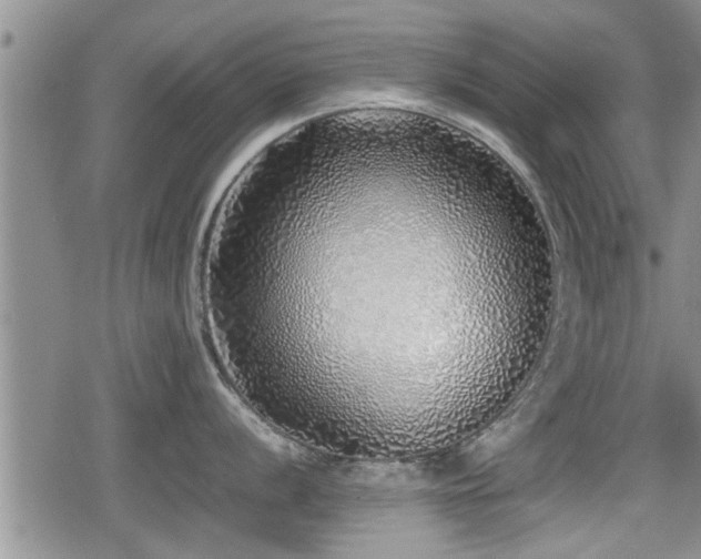 X0000079301056200611171026