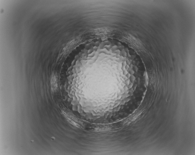 X0000079301106200611171023
