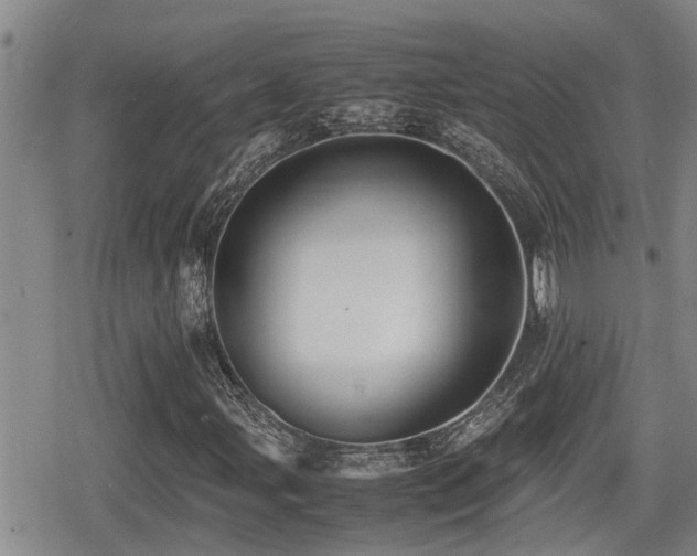 X0000079301107200611171023
