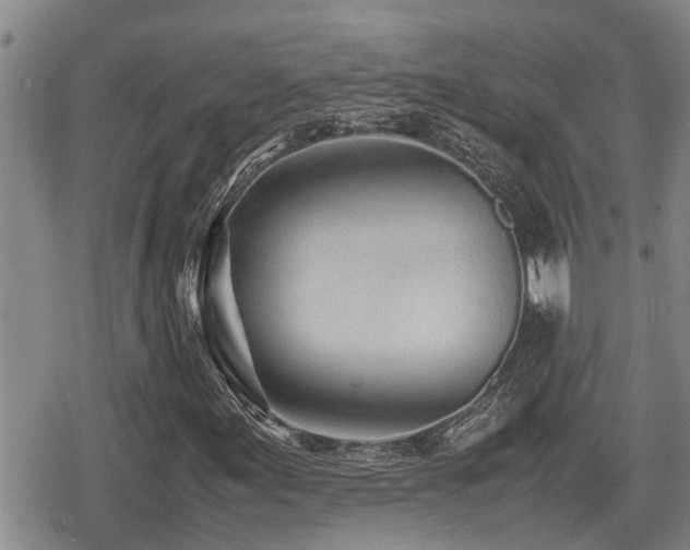 X0000079301155200611171023