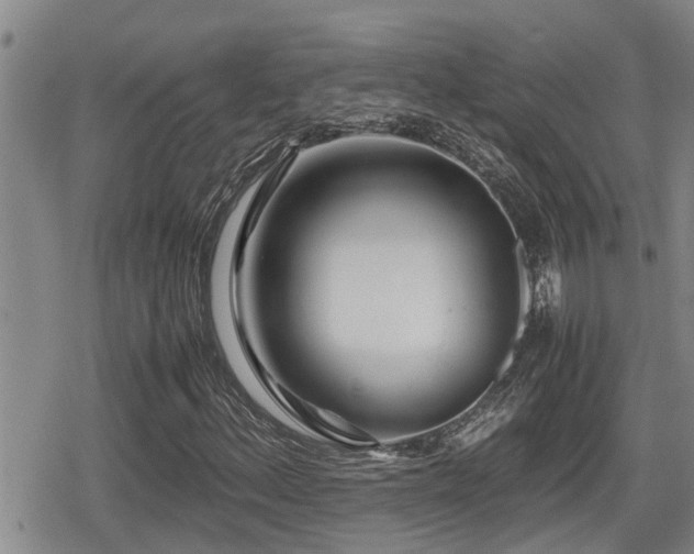 X0000079301156200611171023