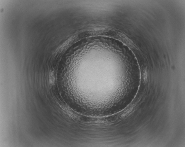 X0000079301204200611171022