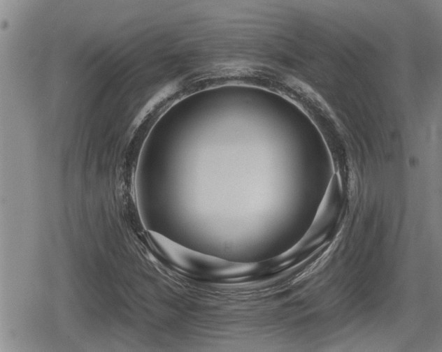 X0000079301210200611171022