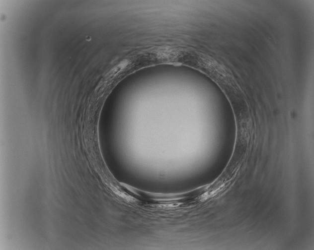 X0000079301249200611171022