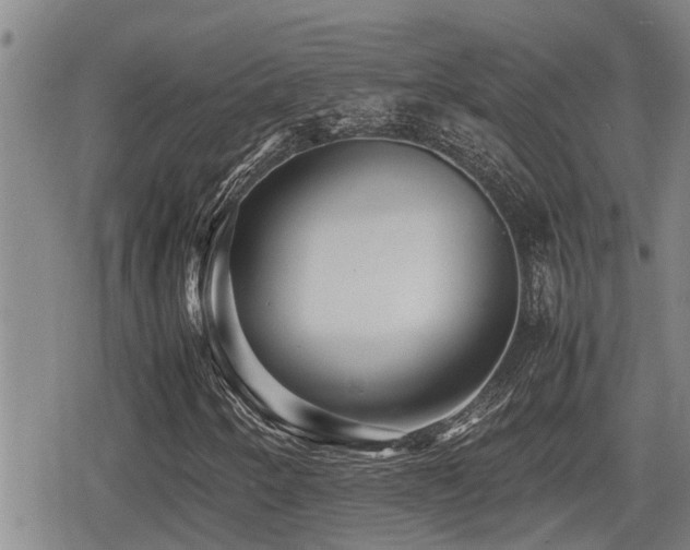 X0000079301250200611171022