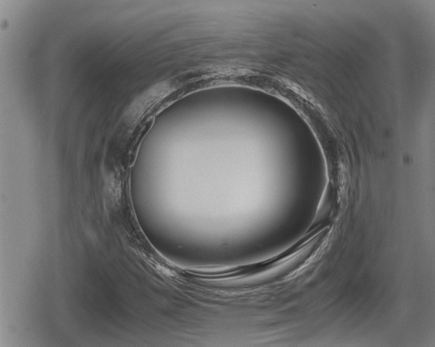X0000079301257200611171022