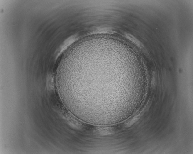 X0000079301258200611171021
