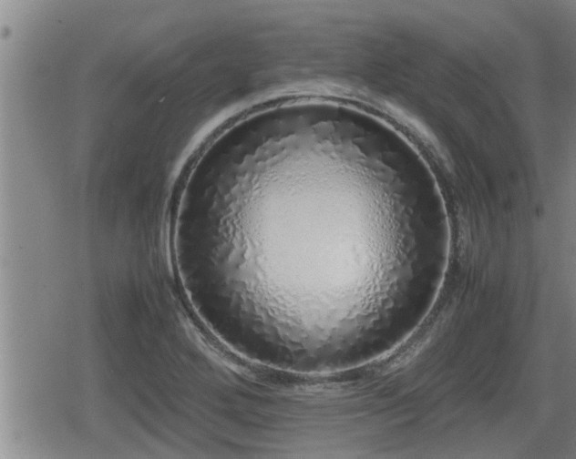 X0000079301272200611171021