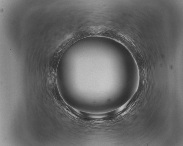 X0000079301349200611171020