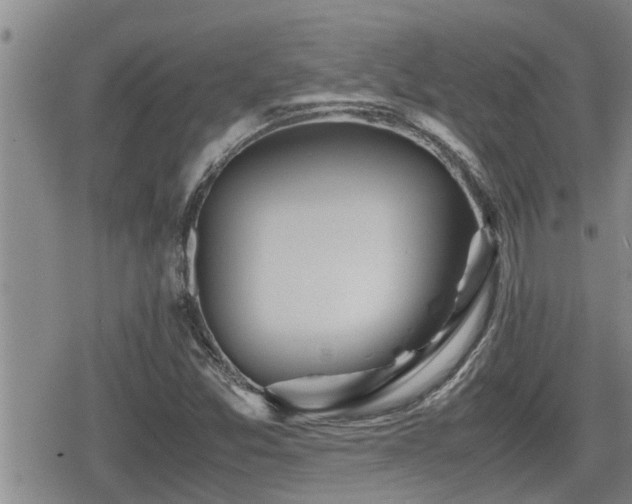 X0000079301357200611171020