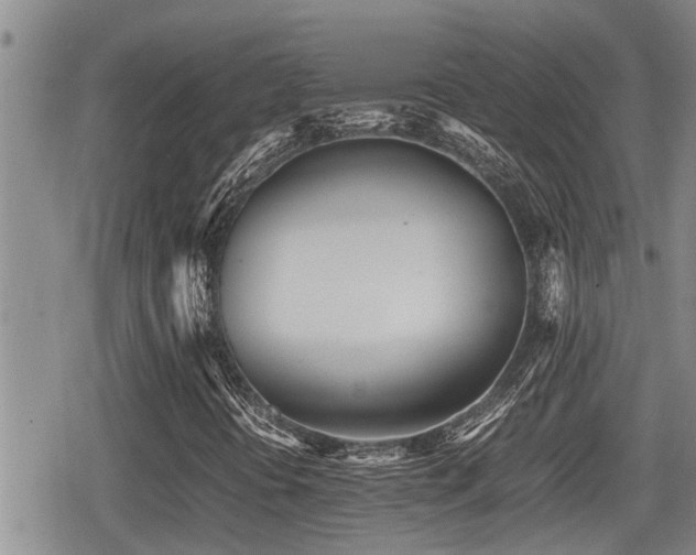 X0000079301394200611171019