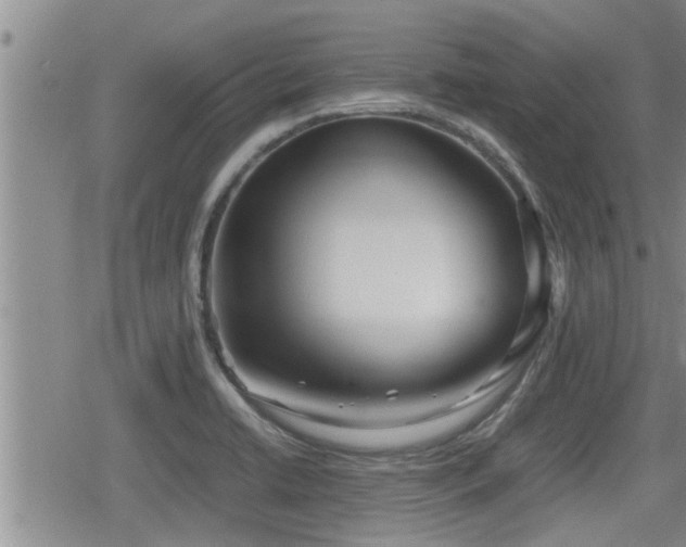 X0000079301422200611171019