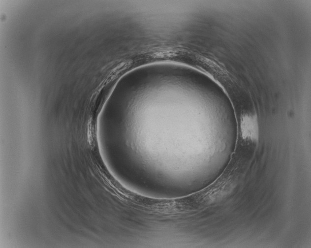 X0000079301444200611171018