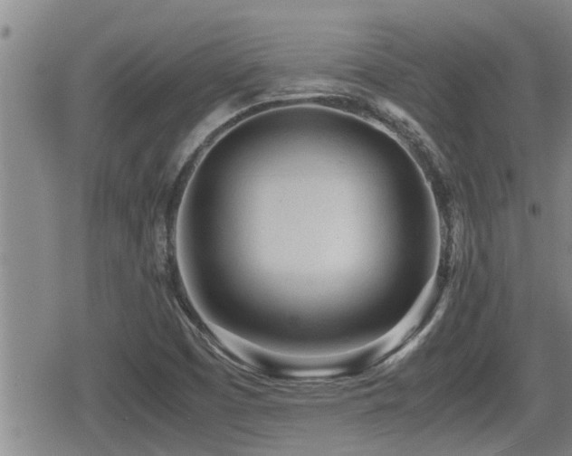 X0000079301457200611171018