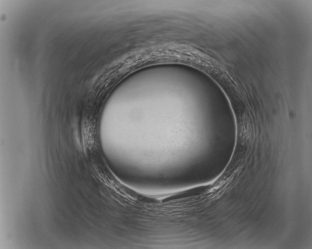 X0000079301490200611171017
