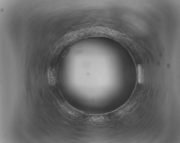 X0000079301491200611171017