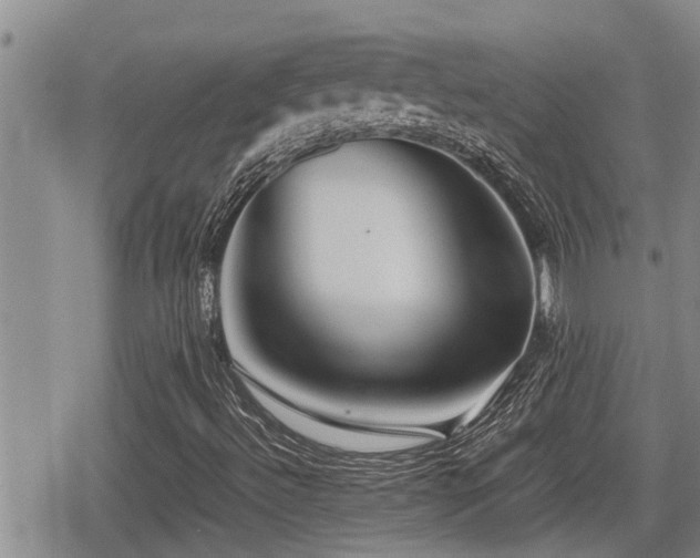 X0000079301492200611171017