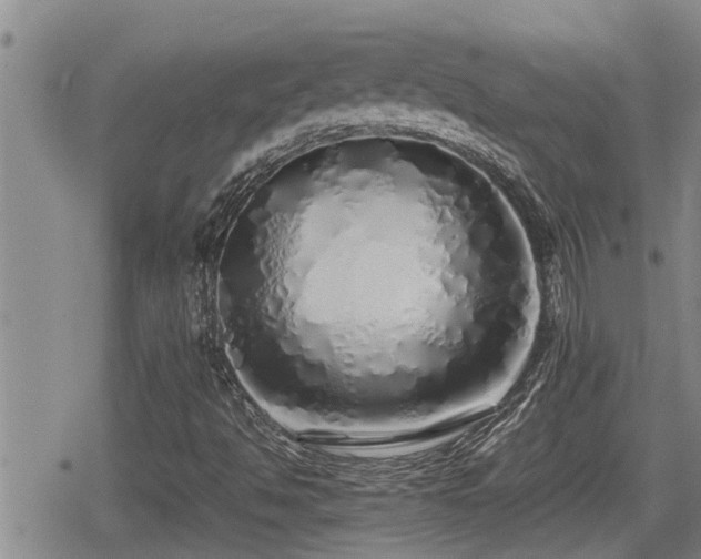 X0000079301494200611171017