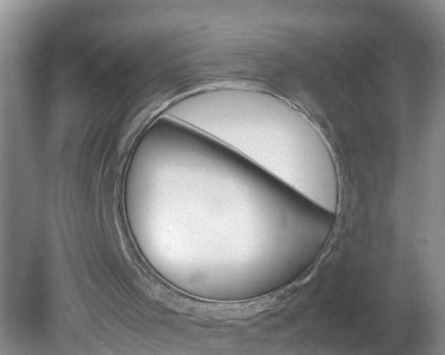 X0000079300001200611251725