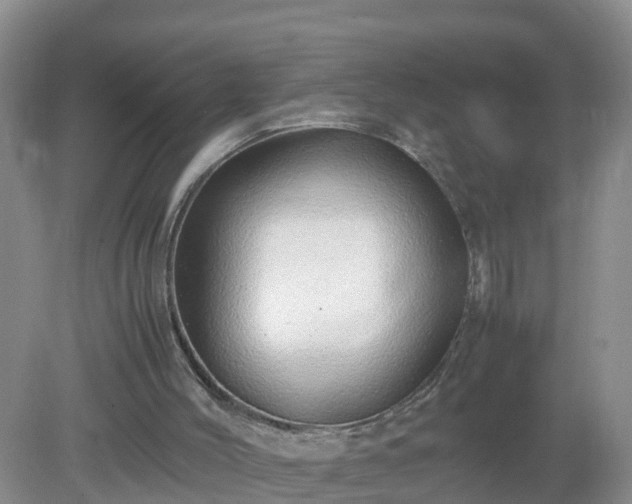 X0000079300004200611251725