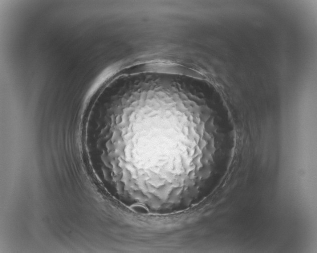 X0000079300006200611251725