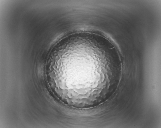 X0000079300010200611251725