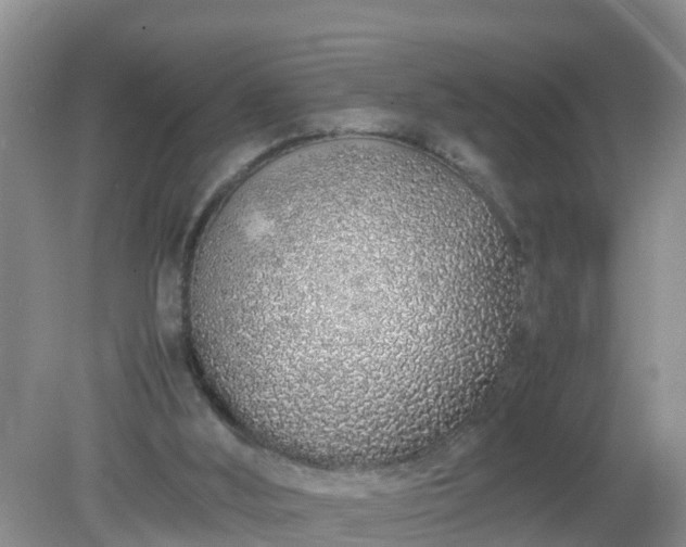 X0000079300012200611251725
