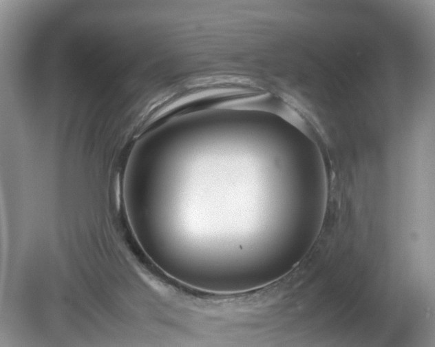 X0000079300013200611251725